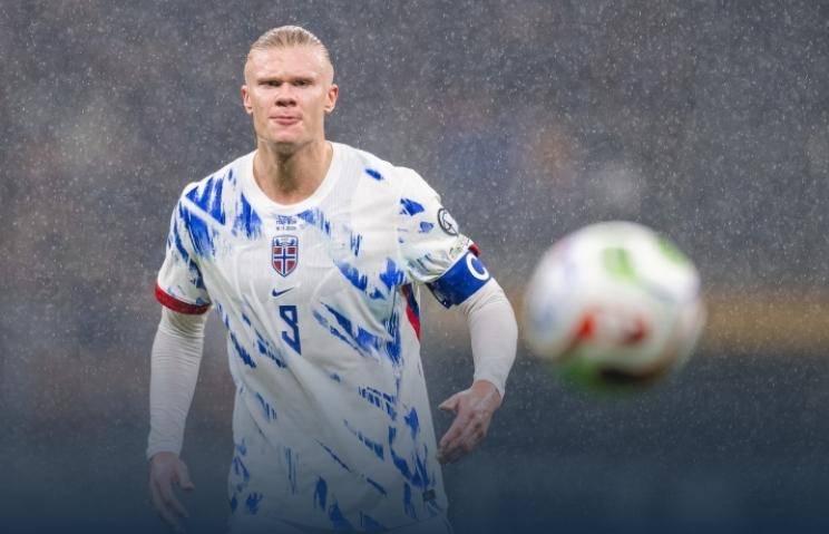 波偷家会怎 波偷家会怎